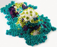 Obra textil, 'Coral', por Eugenia Demarchi